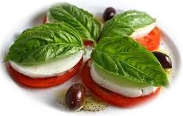 fresh mozzarella